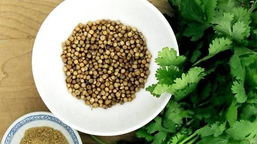 Кориандър плод - Coriandrum sativum L. - 30 гр.