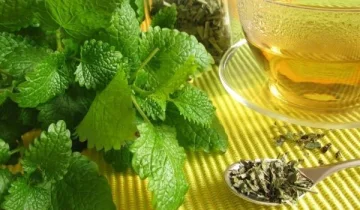 Маточина (Melissa officinalis) - листа - 50 гр