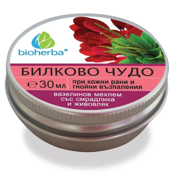 Мехлем при кожни рани и гнойни възпаления, Биохерба , 30 мл.