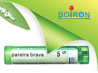 ПАРЕЙРА брава 5 CH зелен ( Pareira brava )