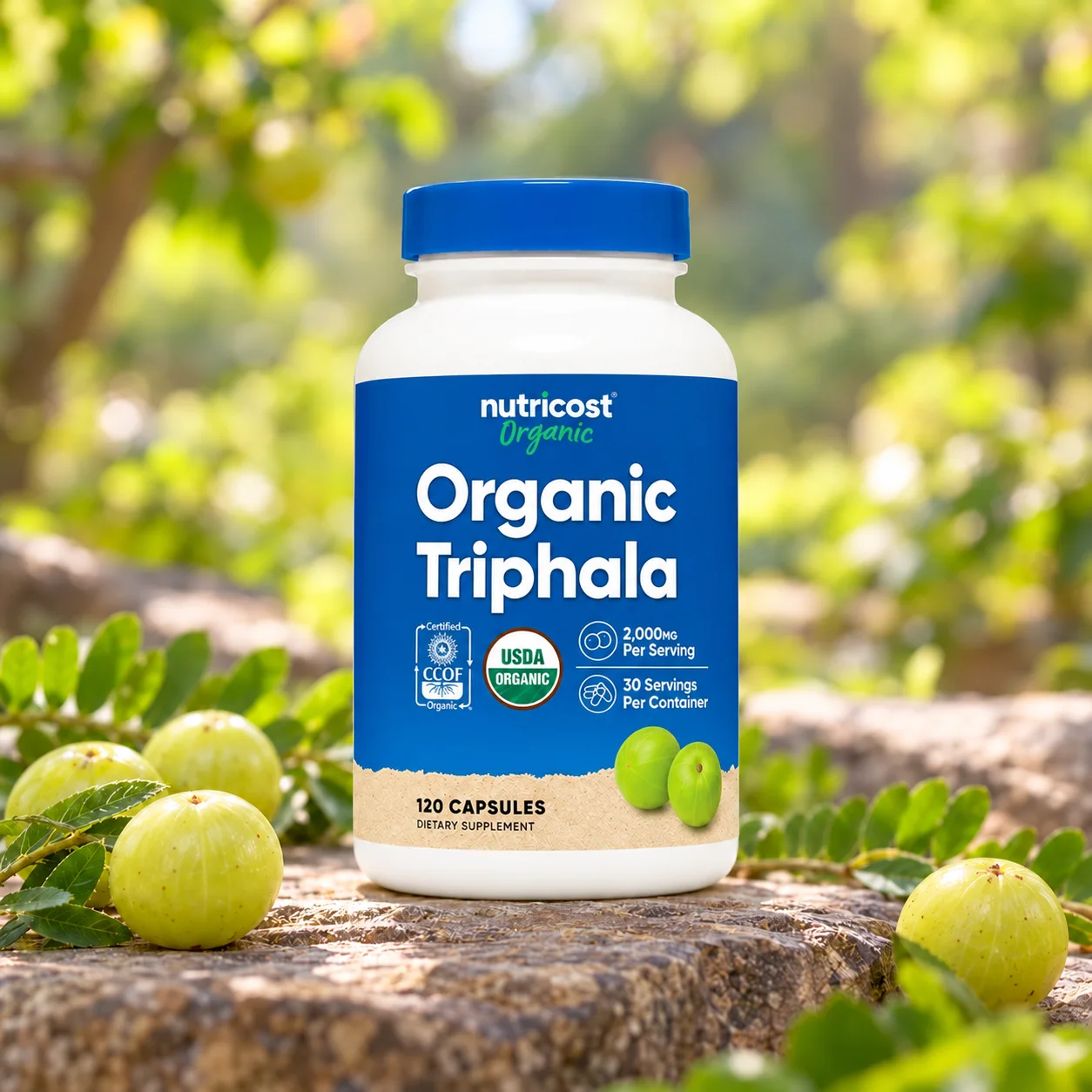 Био трифала за храносмилането Nutricost, 500 mg, 120 капсули