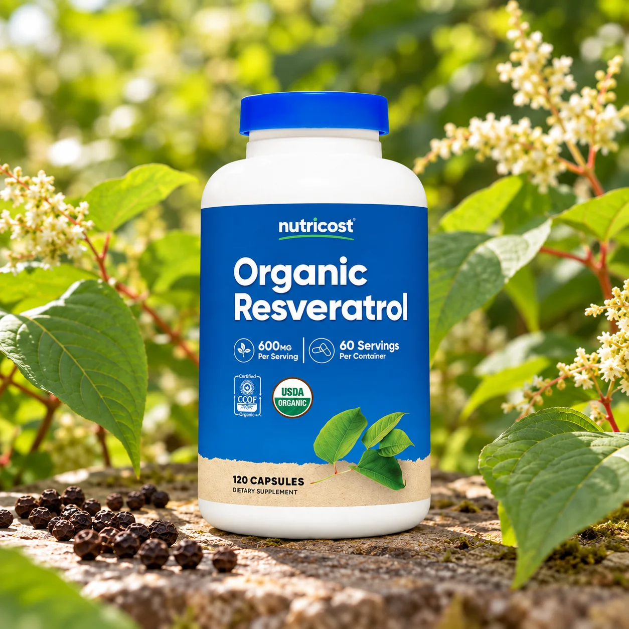 Ресвератрол от японска фалопия Nutricost, 120 капсули