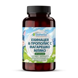 Ехинацея, прополис и магарешко мляко за здрава имунна система Биохерба, 60 капсули