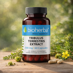 Биохерба Бабини зъби, Трибулус 300 мг. x 60 капсули