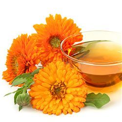 Невен (Calendula officinalis) - цвят - 30 гр.