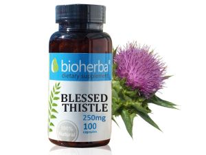 Биохерба - Благословен трън, пресечка, 250 мг. x 100 капсули