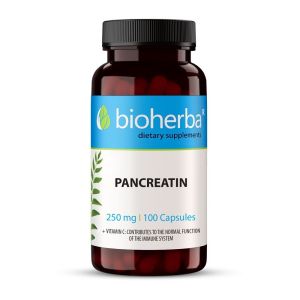 Биохерба – Панкреатин 10x (ензими) 250 мг. x 100 капсули