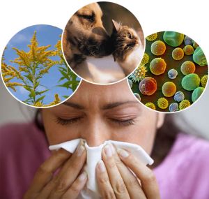 Билкова рецепта при алергия