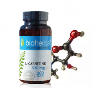 Биохерба - Л-Карнитин 570 мг. - 100 капсули